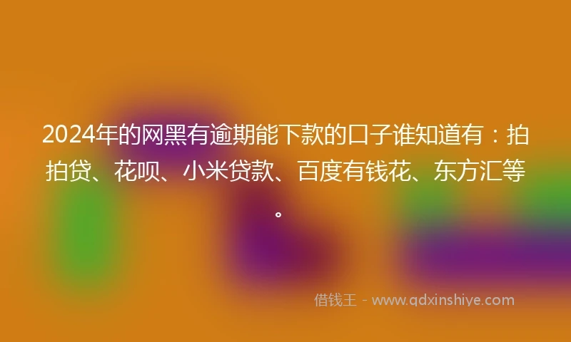 2024年的网黑有逾期能下款的口子谁知道有：拍拍贷、花呗、小米贷款、百度有钱花、东方汇等。
