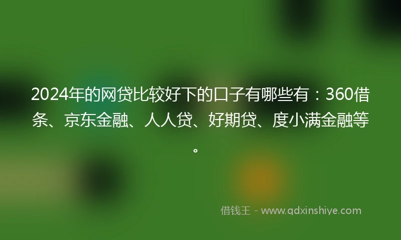 2024年的网贷比较好下的口子有哪些有：360借条、京东金融、人人贷、好期贷、度小满金融等。