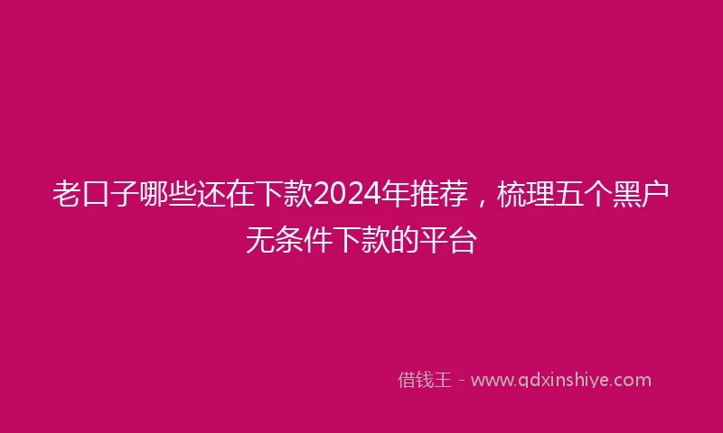 老口子哪些还在下款2024年推荐，梳理五个黑户无条件下款的平台