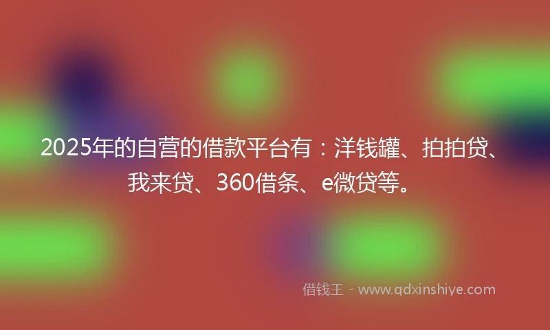 2025年的自营的借款平台有：洋钱罐、拍拍贷、我来贷、360借条、e微贷等。
