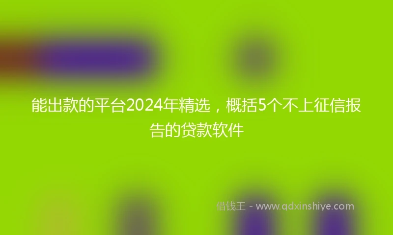 能出款的平台2024年精选，概括5个不上征信报告的贷款软件