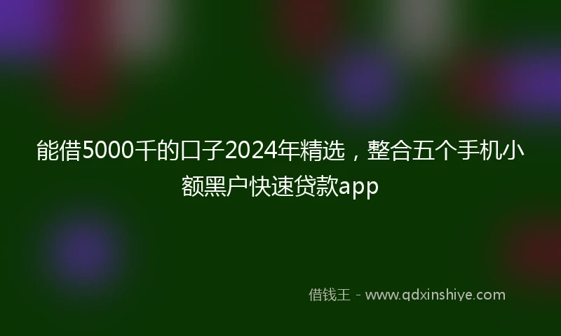 能借5000千的口子2024年精选，整合五个手机小额黑户快速贷款app