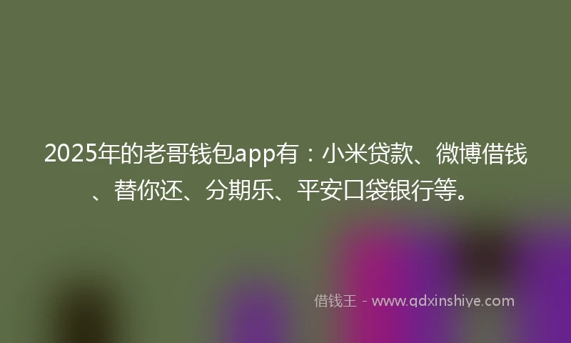 2025年的老哥钱包app有：小米贷款、微博借钱、替你还、分期乐、平安口袋银行等。