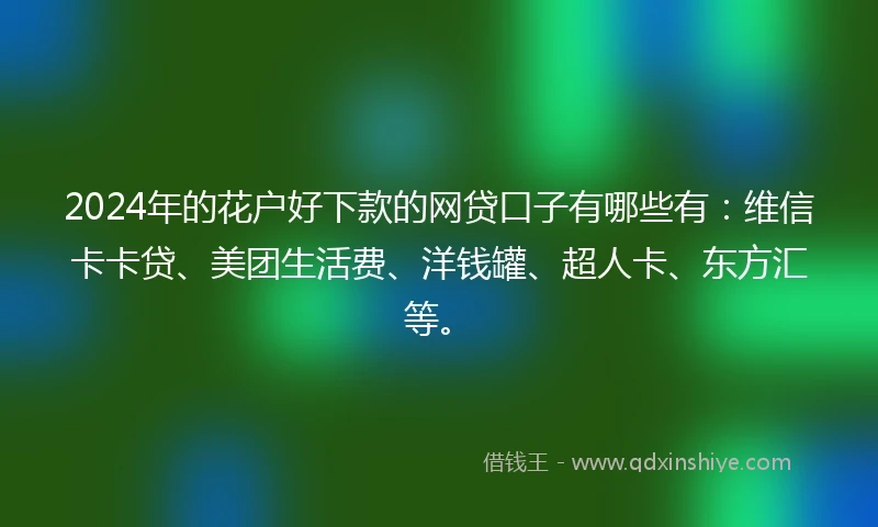 2024年的花户好下款的网贷口子有哪些有：维信卡卡贷、美团生活费、洋钱罐、超人卡、东方汇等。