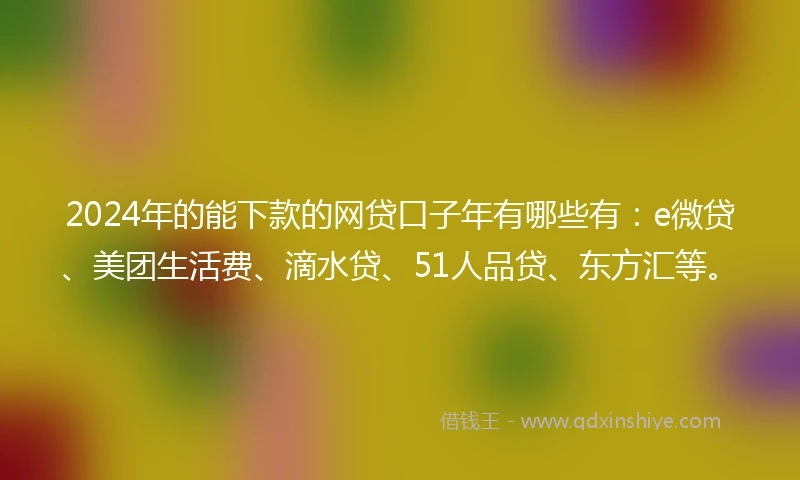 2024年的能下款的网贷口子年有哪些有：e微贷、美团生活费、滴水贷、51人品贷、东方汇等。