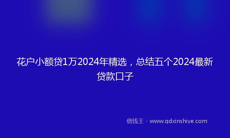 花户小额贷1万2024年精选，总结五个2024最新贷款口子