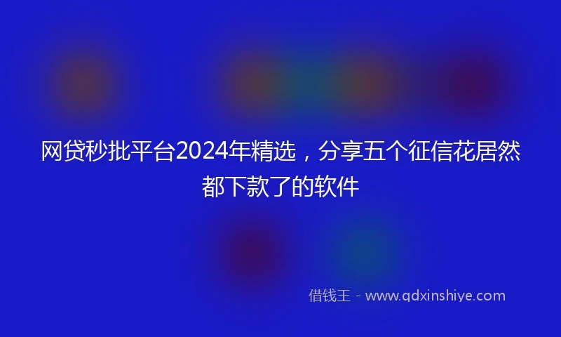 网贷秒批平台2024年精选，分享五个征信花居然都下款了的软件