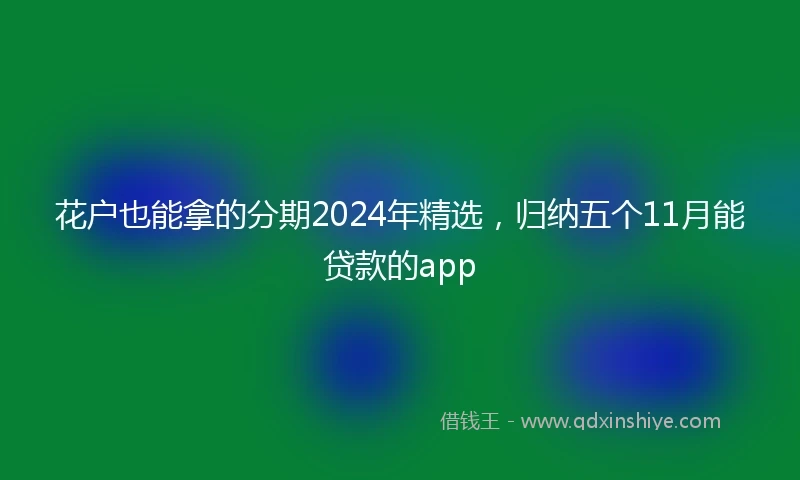 花户也能拿的分期2024年精选，归纳五个11月能贷款的app