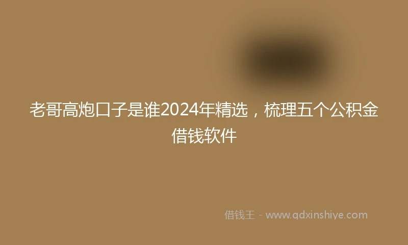 老哥高炮口子是谁2024年精选，梳理五个公积金借钱软件