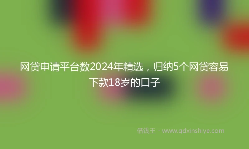 网贷申请平台数2024年精选，归纳5个网贷容易下款18岁的口子