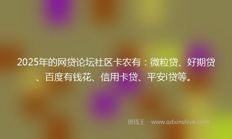 2025年的网贷论坛社区卡农有：微粒贷、好期贷、百度有钱花、信用卡贷、平安i贷等。