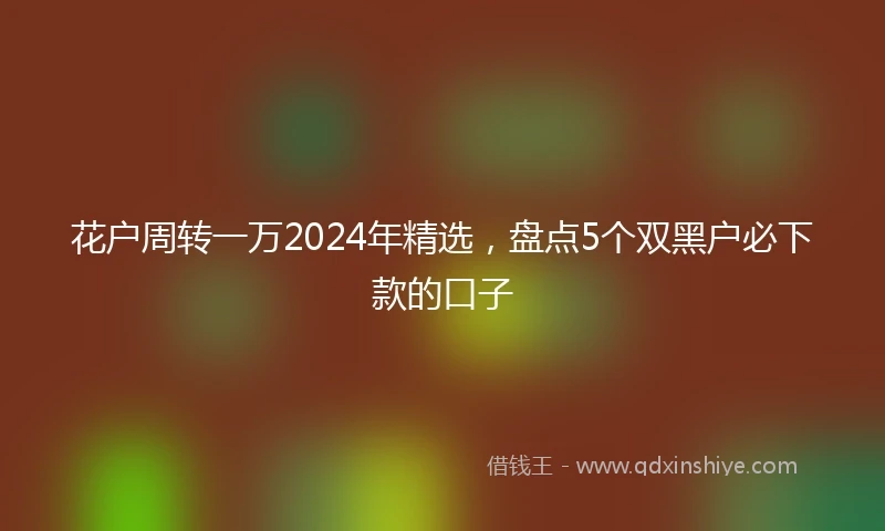 花户周转一万2024年精选，盘点5个双黑户必下款的口子