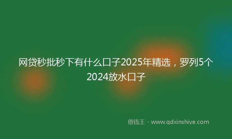 网贷秒批秒下有什么口子2025年精选，罗列5个2024放水口子