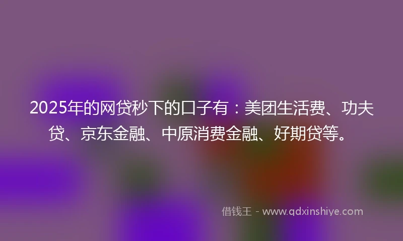 2025年的网贷秒下的口子有：美团生活费、功夫贷、京东金融、中原消费金融、好期贷等。