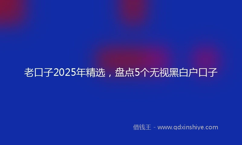老口子2025年精选，盘点5个无视黑白户口子