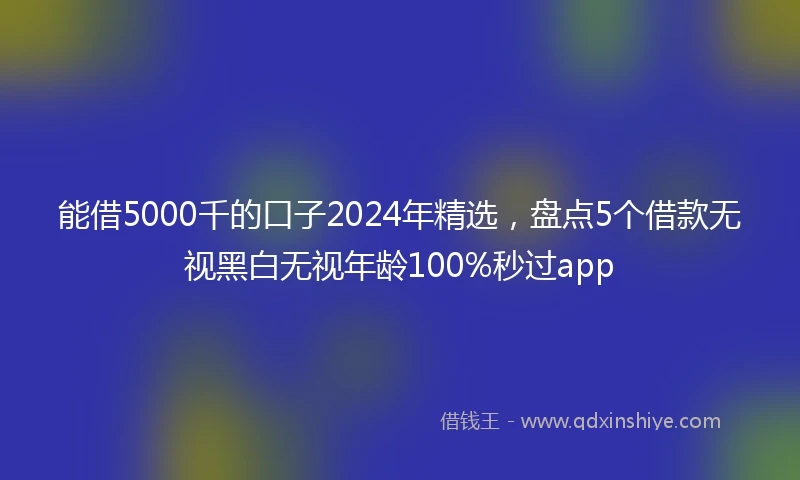 能借5000千的口子2024年精选，盘点5个借款无视黑白无视年龄100%秒过app