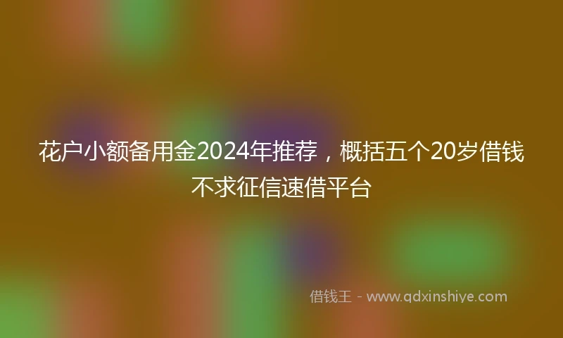 花户小额备用金2024年推荐，概括五个20岁借钱不求征信速借平台