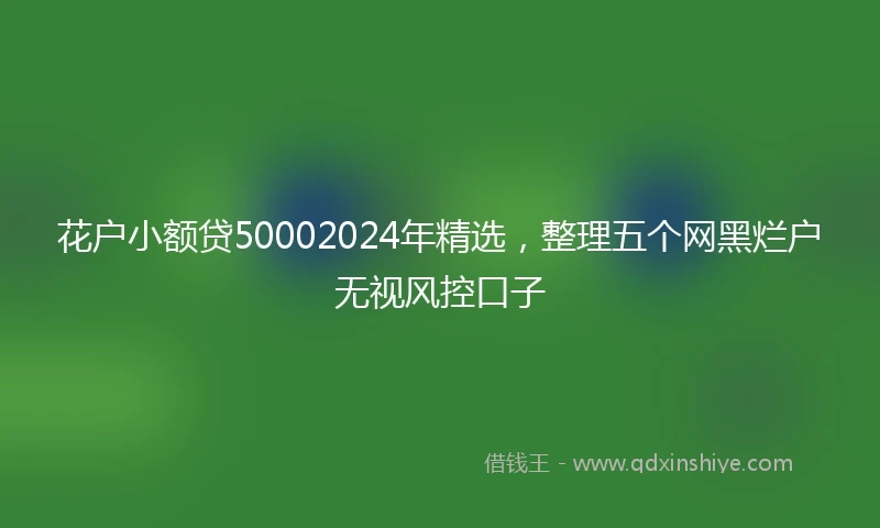 花户小额贷50002024年精选，整理五个网黑烂户无视风控口子