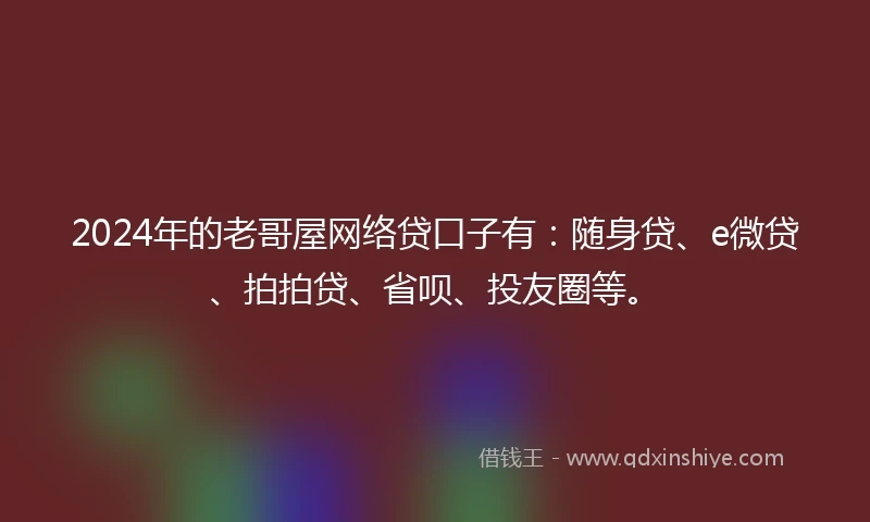 2024年的老哥屋网络贷口子有：随身贷、e微贷、拍拍贷、省呗、投友圈等。