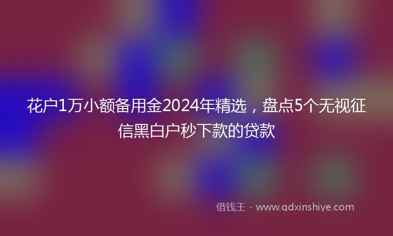 花户1万小额备用金2024年精选，盘点5个无视征信黑白户秒下款的贷款