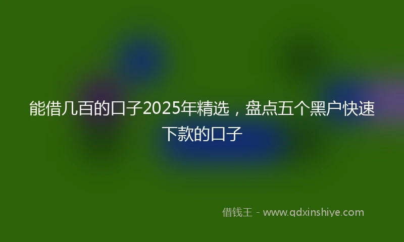 能借几百的口子2025年精选，盘点五个黑户快速下款的口子