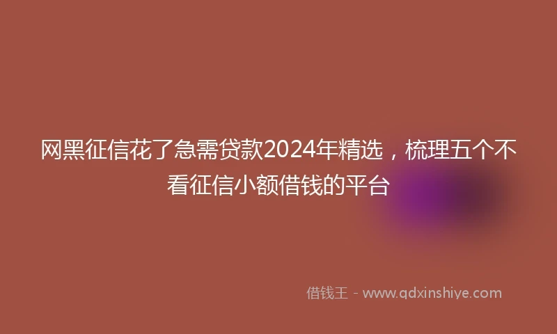 网黑征信花了急需贷款2024年精选，梳理五个不看征信小额借钱的平台