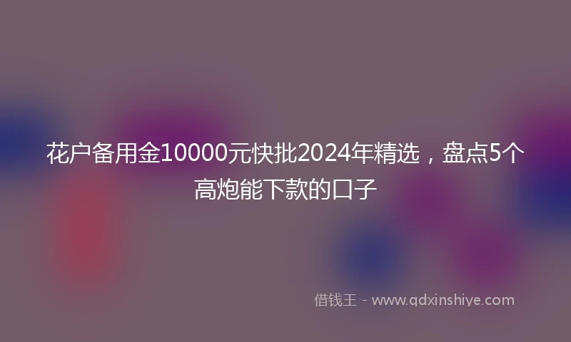 花户备用金10000元快批2024年精选，盘点5个高炮能下款的口子