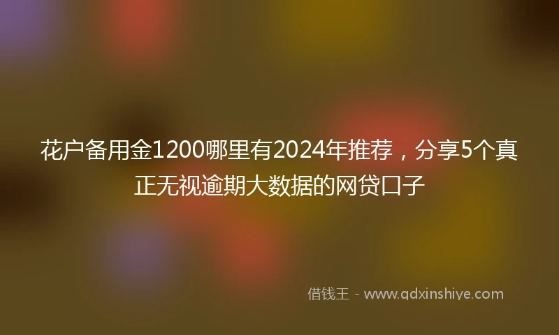 花户备用金1200哪里有2024年推荐，分享5个真正无视逾期大数据的网贷口子