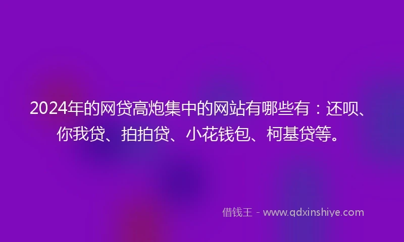 2024年的网贷高炮集中的网站有哪些有：还呗、你我贷、拍拍贷、小花钱包、柯基贷等。