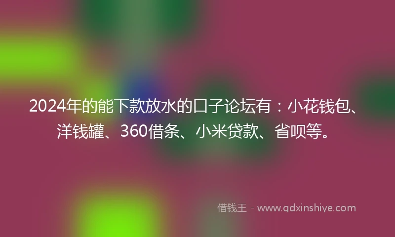 2024年的能下款放水的口子论坛有：小花钱包、洋钱罐、360借条、小米贷款、省呗等。