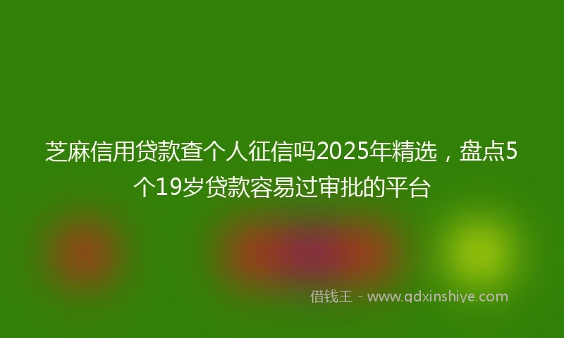 芝麻信用贷款查个人征信吗2025年精选，盘点5个19岁贷款容易过审批的平台