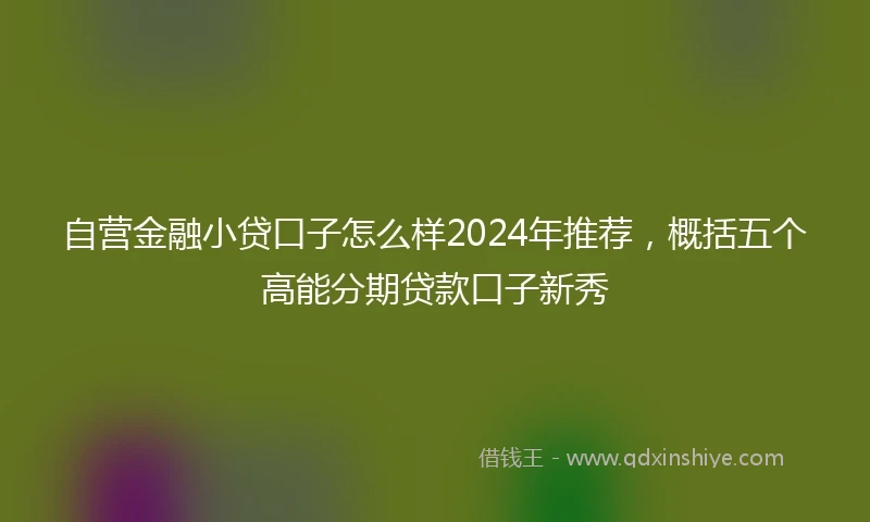 自营金融小贷口子怎么样2024年推荐，概括五个高能分期贷款口子新秀