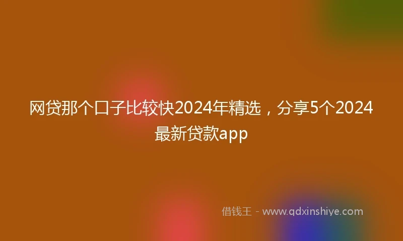 网贷那个口子比较快2024年精选,分享5个2024最新贷款app