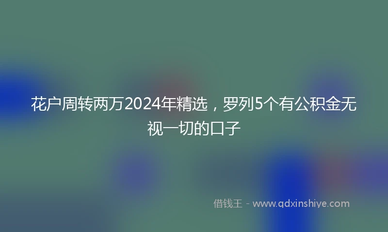 花户周转两万2024年精选，罗列5个有公积金无视一切的口子
