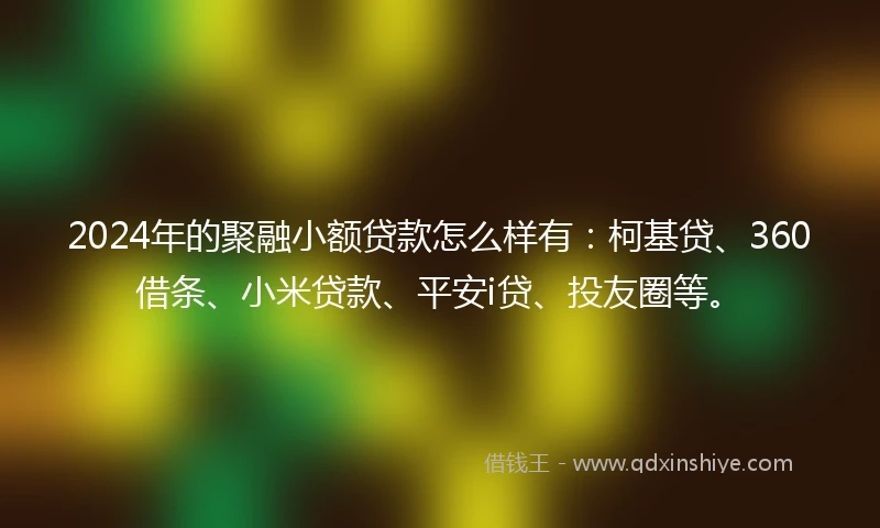 2024年的聚融小额贷款怎么样有：柯基贷、360借条、小米贷款、平安i贷、投友圈等。