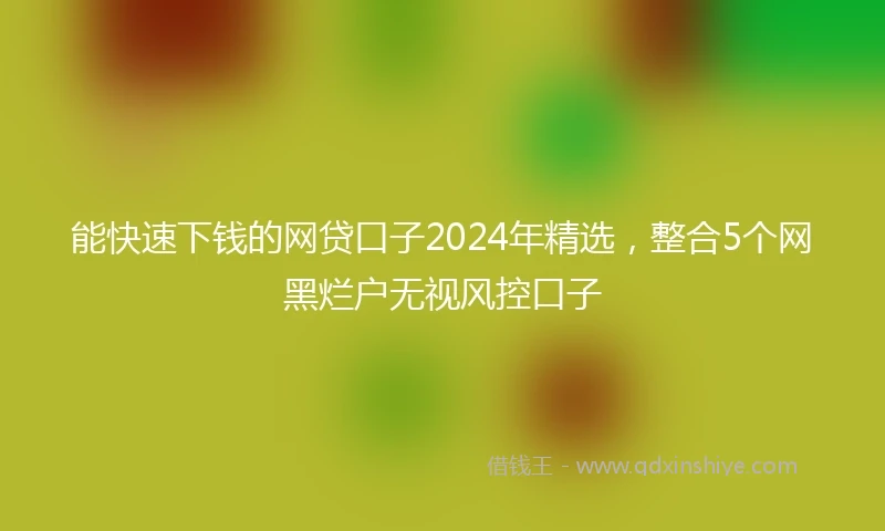 能快速下钱的网贷口子2024年精选，整合5个网黑烂户无视风控口子