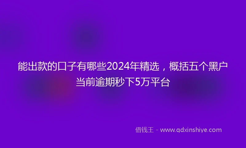 能出款的口子有哪些2024年精选，概括五个黑户当前逾期秒下5万平台