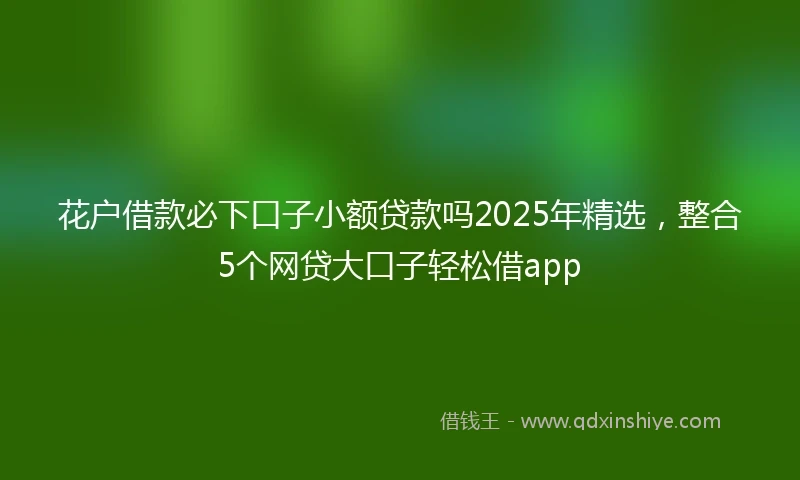 花户借款必下口子小额贷款吗2025年精选，整合5个网贷大口子轻松借app