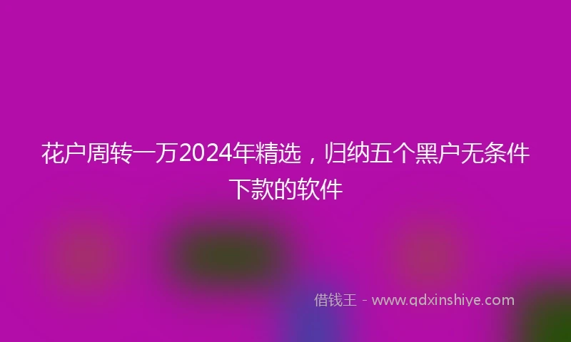 花户周转一万2024年精选，归纳五个黑户无条件下款的软件