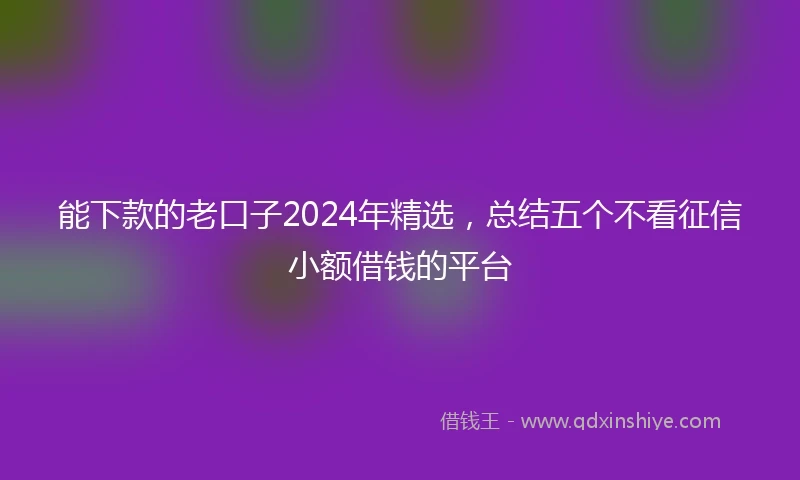 能下款的老口子2024年精选，总结五个不看征信小额借钱的平台