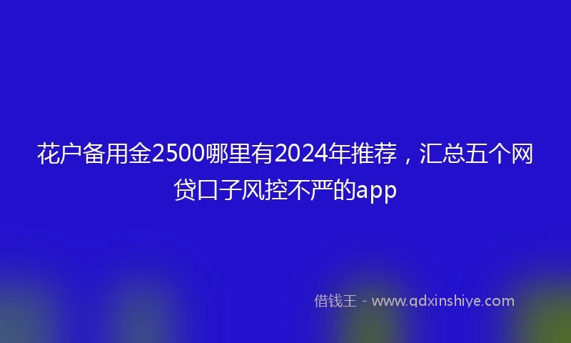 花户备用金2500哪里有2024年推荐，汇总五个网贷口子风控不严的app