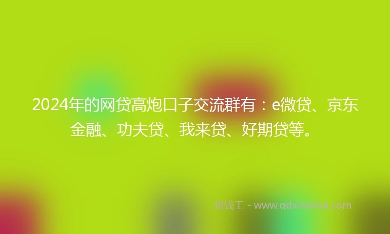 2024年的网贷高炮口子交流群有：e微贷、京东金融、功夫贷、我来贷、好期贷等。