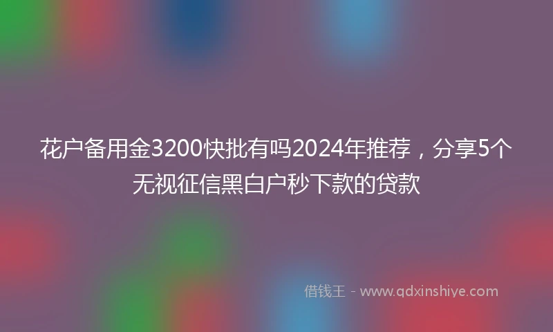 花户备用金3200快批有吗2024年推荐，分享5个无视征信黑白户秒下款的贷款