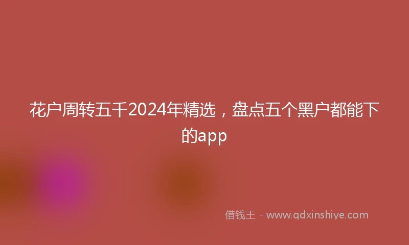 花户周转五千2024年精选，盘点五个黑户都能下的app