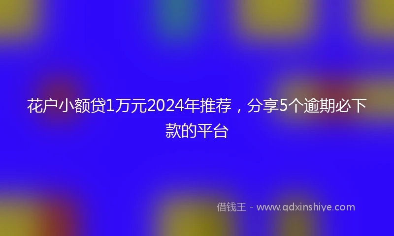 花户小额贷1万元2024年推荐，分享5个逾期必下款的平台