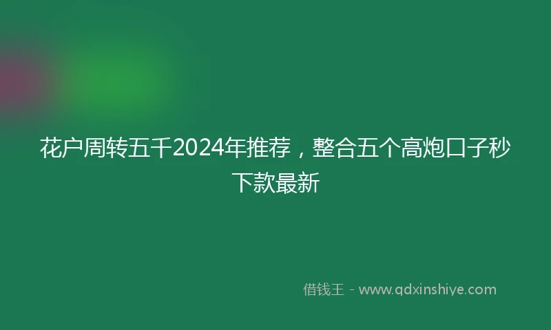 花户周转五千2024年推荐，整合五个高炮口子秒下款最新