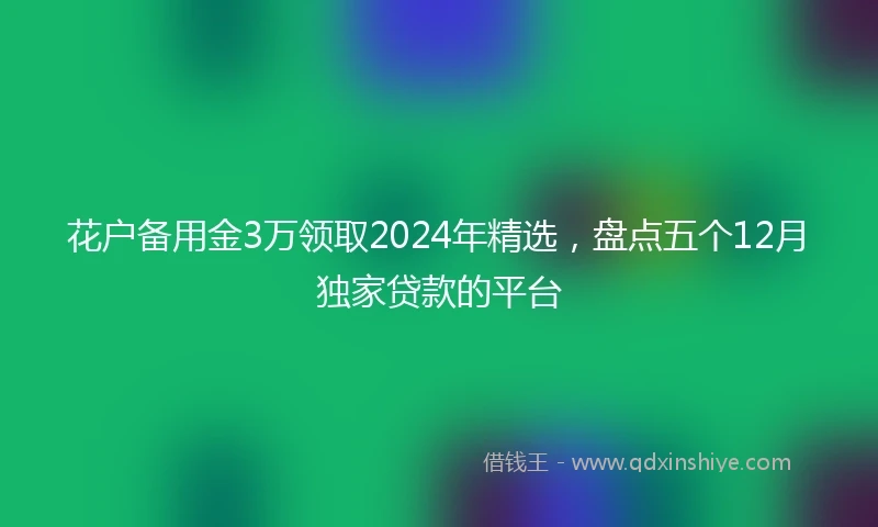 花户备用金3万领取2024年精选，盘点五个12月独家贷款的平台