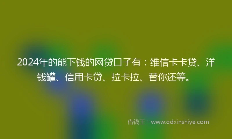 2024年的能下钱的网贷口子有：维信卡卡贷、洋钱罐、信用卡贷、拉卡拉、替你还等。