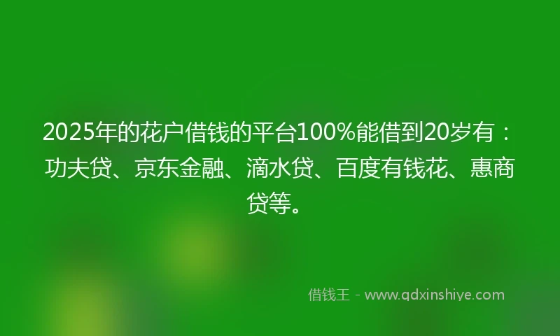 2025年的花户借钱的平台100%能借到20岁有：功夫贷、京东金融、滴水贷、百度有钱花、惠商贷等。