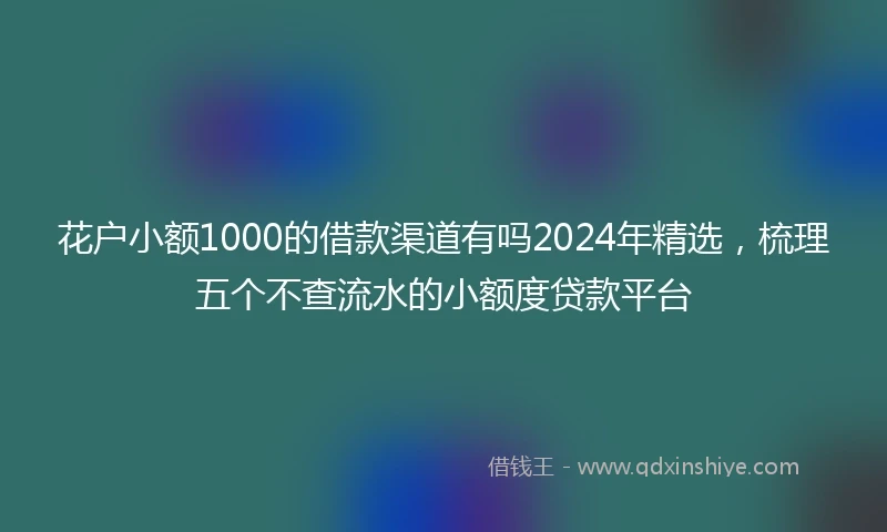 花户小额1000的借款渠道有吗2024年精选,梳理五个不查流水的小额度贷款平台